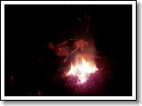 P1010028.JPG